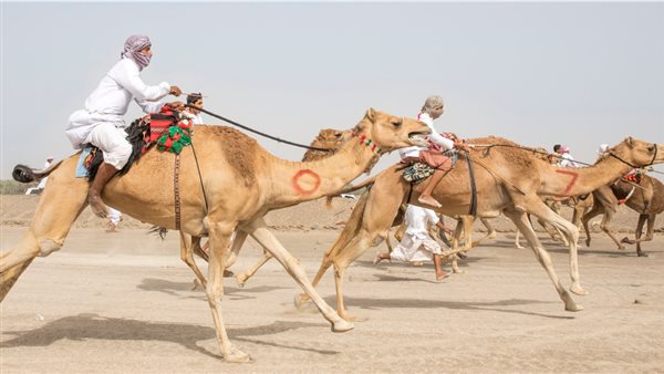 لمحة نيوز