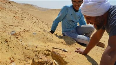 اكتشاف حيوان مفترس لم يسبق له مثيل في مصر