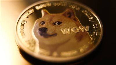 عالم العملات المشفرة في حالة حداد: وفاة رمز عملة Dogecoin Kabosu
