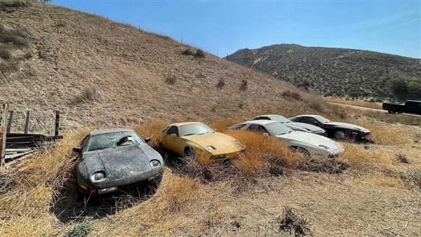لمحة نيوز