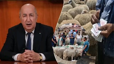 الجزائر تعتزم استيراد مليون رأس ماشية استعداداً لعيد الأضحى.
