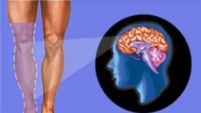 الألم الشبحي: كيف نشعر بالألم في الأطراف المفقودة؟