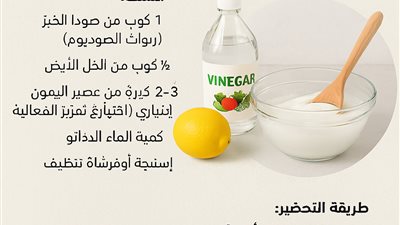 كيفية تحضير أفضل منظف فرن منزلي الصنع بمواد طبيعية