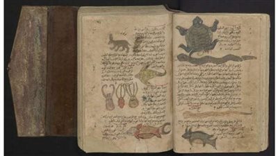  اكتشاف مخطوطة نادرة: حكايات الملك آرثر تعود للحياة بعد 400 عام