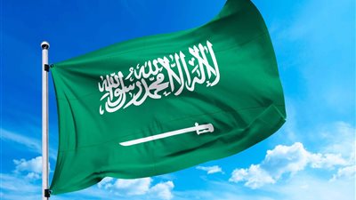 بقيادة السعودية.. 75 دولة تتبنى جهوداً دولية لحماية الأطفال في العالم الرقمي