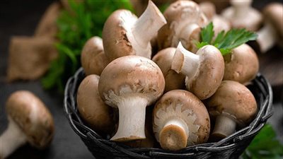 وفقًا للقائمة الحمراء للاتحاد الدولي لحفظ الطبيعة، يُواجه ما يقرب من ثلث فطريات العالم خطر الانقراض