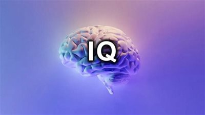 IQ معدل الذكاء، مقياسٌ مشكوكٌ فيه للذكاء بحسب أماندا هيس