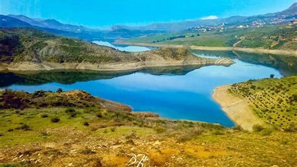لمحة نيوز