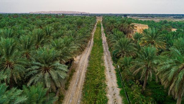 لمحة نيوز