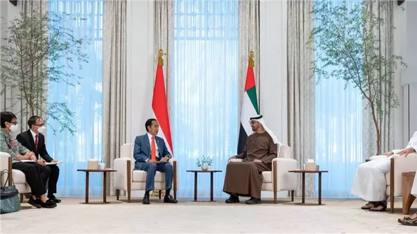 لمحة نيوز