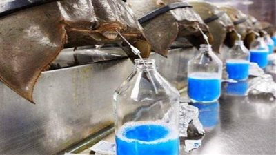 10 حيوانات ذات دم أزرق حول العالم