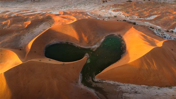 لمحة نيوز