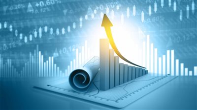 شركة «زد» تقلّص عدد الموظفين بنسبة 50%