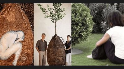 لماذا يدفن سكان غينيا الجديدة موتاهم على الأشجار؟ 