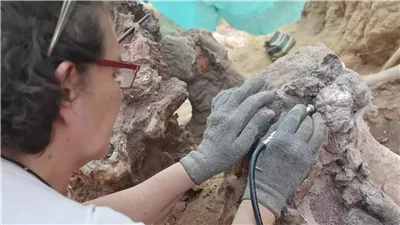 هيكل عظمي لعملاق طوله 8 أمتار في الصين.. هل حقاً عاشوا بيننا؟