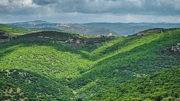لمحة نيوز