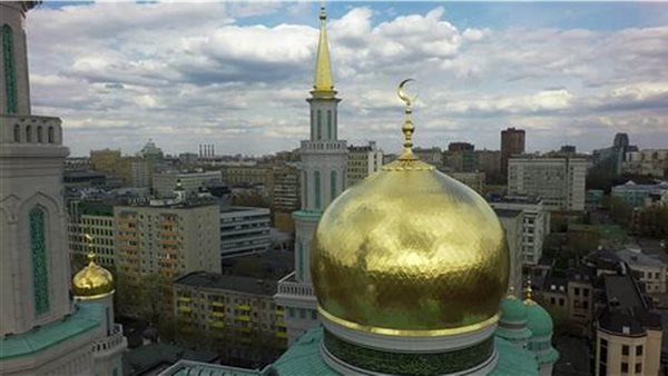 لمحة نيوز