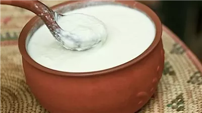 الزبادي الهندي أم الزبادي اليوناني: أيهما أكثر صحة؟