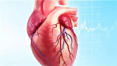 عضلة تتحرك 100 ألف مرة يوميًا دون أن تشعر