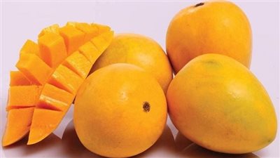 هوس المانجو 5 حلويات صيفية لا تُقاوم عليك تجربتها الآن