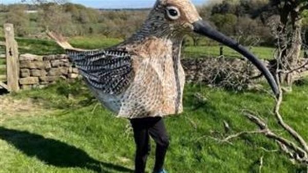 لمحة نيوز