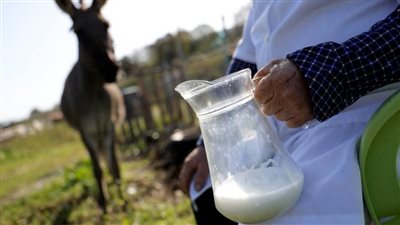 ماذا تعرف عن المنتجات المصنوعة من ألبان الحمير و سعرها الباهظ 