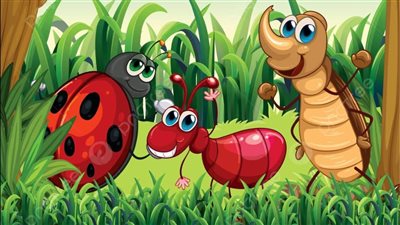 لغز الطبيعة: كيف تستطيع هذه الحشرة العيش دون رأس؟
