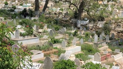 صدى همسات الماضي: اكتشاف مقبرة امرأة عمرها 5000 عام في صحراء بيرو الساحلية يروي قصة حضارة منسية