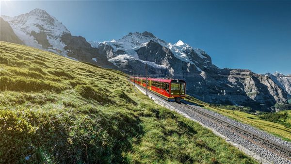 لمحة نيوز