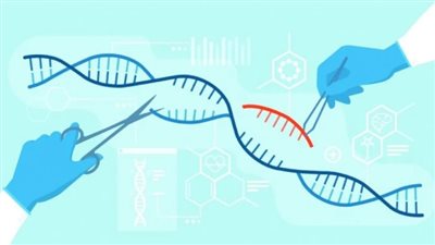 تقنية CRISPR تُستخدم لأول مرة لعلاج الشيخوخة المبكرة