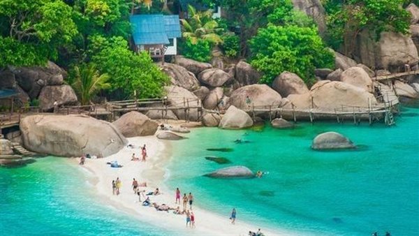 لمحة نيوز