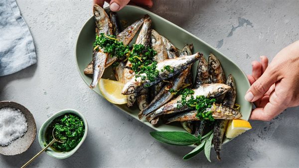 لمحة نيوز