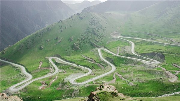 لمحة نيوز