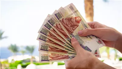 الجنيه المصري يستقر بعد تدخّل المركزي في سوق الصرف