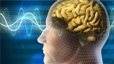 تأثير العادات الصحية السيئة على صحة الدماغ منها التدخين و السمنة 