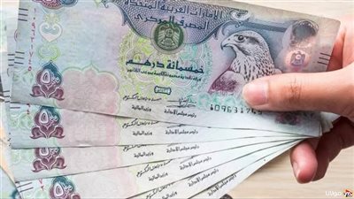 الدرهم الإماراتي يواصل استقراره المرتبط بالدولار