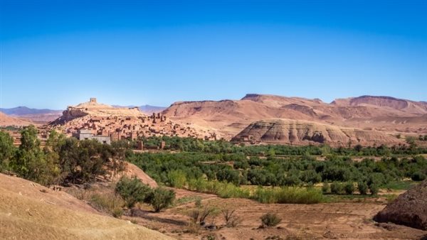 لمحة نيوز