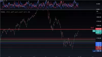 تقرير فني: كسر مقاومة 14,500 يدعم استمرار صعود مؤشر تاسي