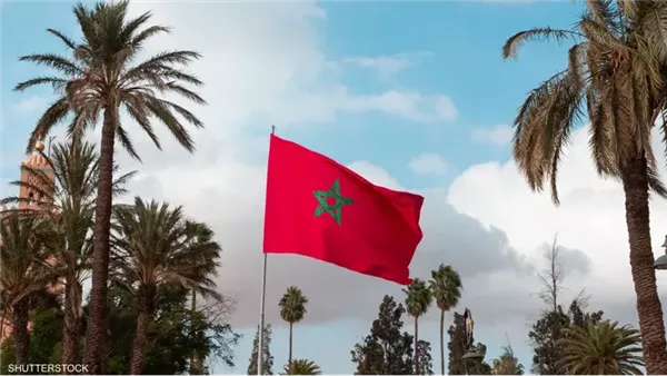 لمحة نيوز