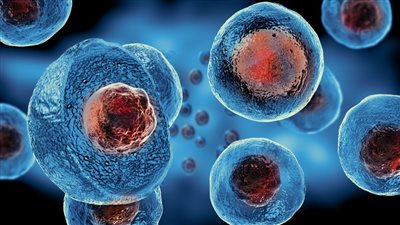 عقار ذكي يحفز إعادة إنتاج خلايا بيتا في 2025