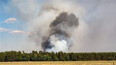 تقرير أممي يحمّل التغير المناخي مسؤولية زيادة حرائق الغابات الصيفية في نصف الكرة الشمالي