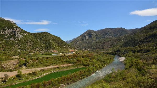 لمحة نيوز