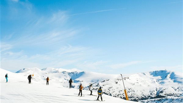 لمحة نيوز