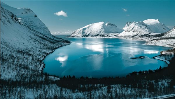 لمحة نيوز