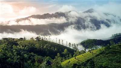 إقليم ها فالاي في بوتان الذي يُفتح أبوابه تدريجيًا أمام الزوار الباحثين عن دفء الثقافة البوذية وتجربة سياحة مستدامة