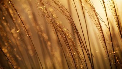 الذهب العالمي يتذبذب عند مقاومات تاريخية وسط ضغوط التضخم