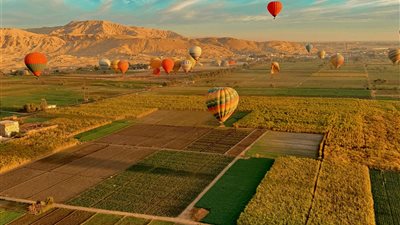 سياحة التجارب الزراعية ترتفع عالميًا مع تزايد رغبة المسافرين في خوض أنماط حياة القرى والمزارع