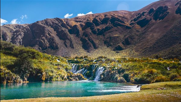 لمحة نيوز