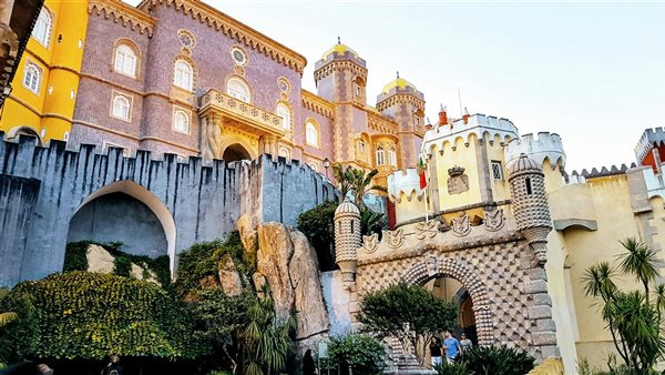 لمحة نيوز