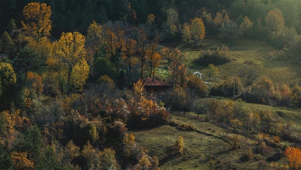 لمحة نيوز